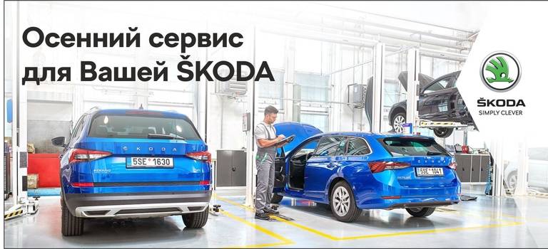 Осенний сервис по фиксированной стоимости в Европа Авто